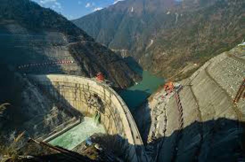 促進水電建設與環(huán)境保護：大渡河流域珍稀魚類增殖放流活動在大崗山水電站庫區(qū)舉行