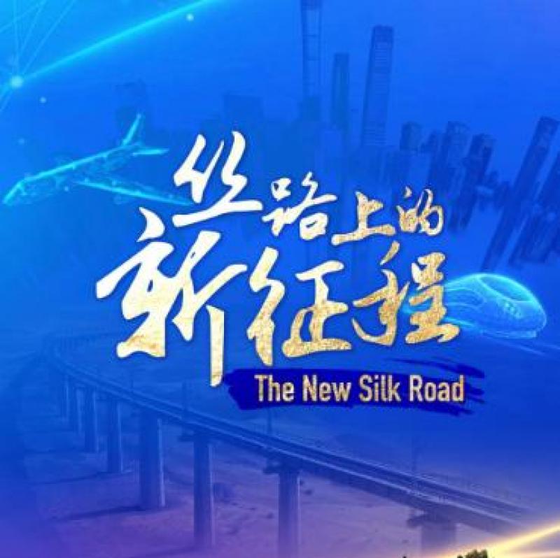 中國為共建“一帶一路”國家綠色轉型“添磚加瓦”