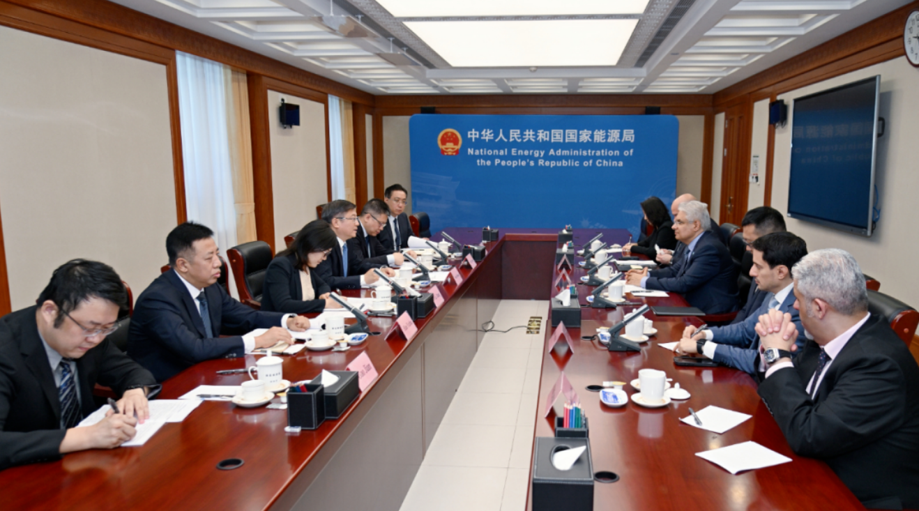 國家能源局負責人會見沙特阿美公司總裁